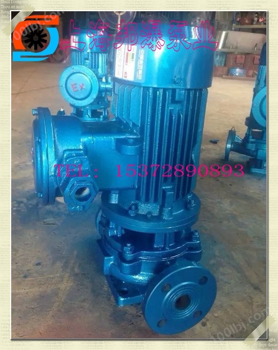 立式管道热水泵,IRG65-250IA