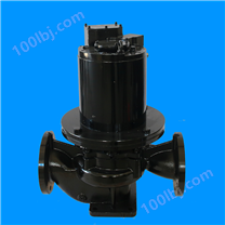 永磁同步立式单级泵 LHL100-160 (水冷电机）
