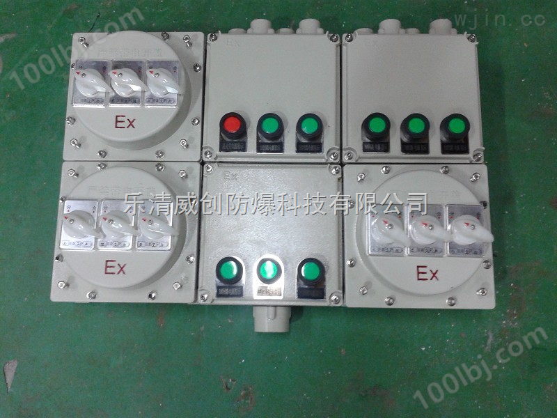 BX（M/D）51防爆配电箱 照明配电箱 动力配电箱 （挂式） 不限回路