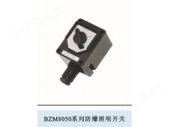 BZM8050系列防爆防腐照明开关