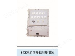 BXK系列防爆控制箱（ⅡB、ⅡC）