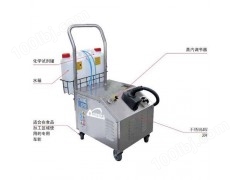 供应高温饱和蒸汽清洗机AKSGV3.3